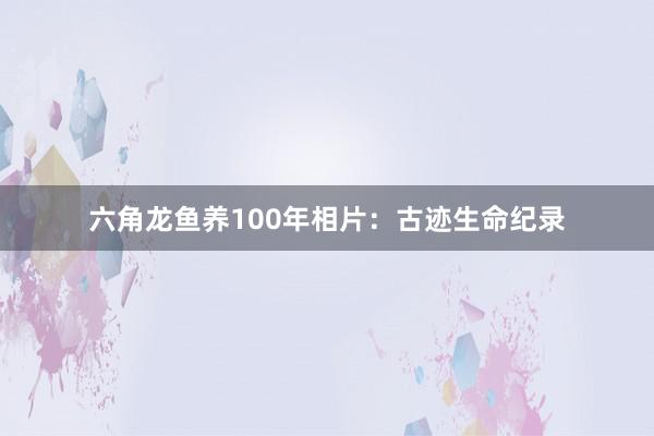 六角龙鱼养100年相片：古迹生命纪录