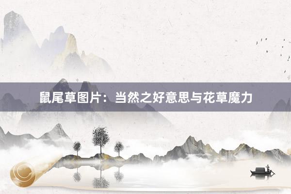 鼠尾草图片：当然之好意思与花草魔力