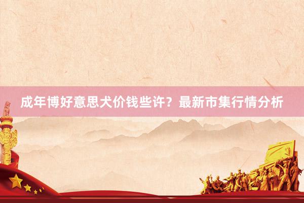 成年博好意思犬价钱些许？最新市集行情分析