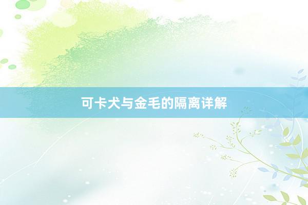 可卡犬与金毛的隔离详解
